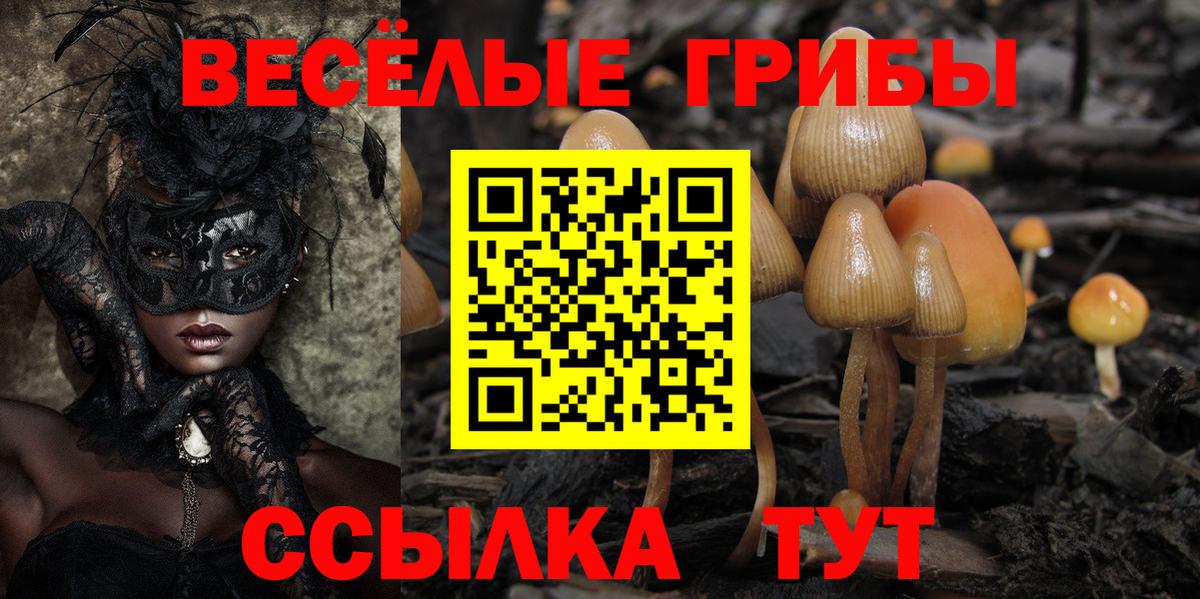 Галлюциногенные грибы мицелий  Галлюциногенные грибы Psilocybe  Среднеуральск  Вход с VPN 